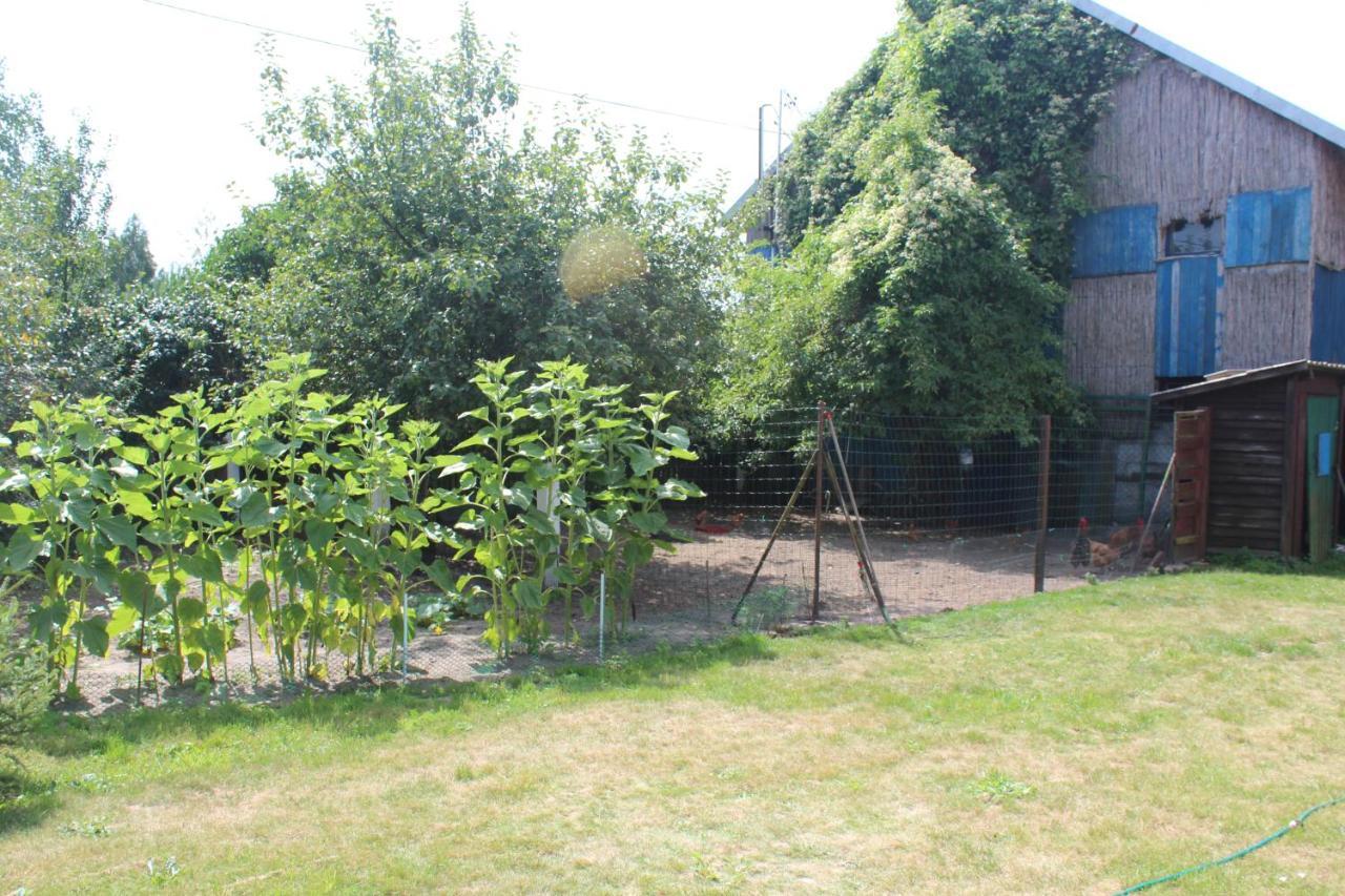 Agroturystyka Kociewiak Szteklin Bagian luar foto