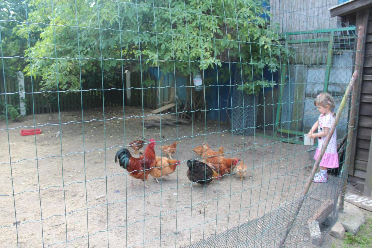 Agroturystyka Kociewiak Szteklin Bagian luar foto